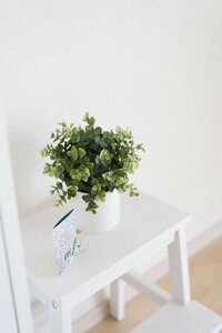 グリーンの鉢はプラスチック製に