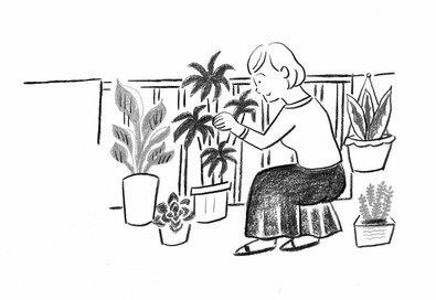 500円の幸せ。たくましく育った観葉植物を見て元気が出た