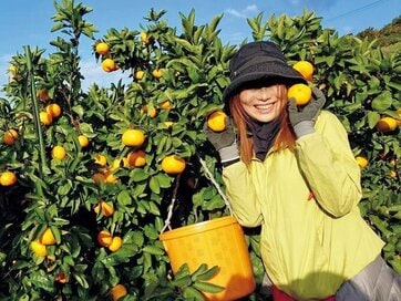 温泉・宿泊先つきも！プチ稼ぎする新しい旅のスタイル「おてつたび」に、50代以上の参加者が増加中