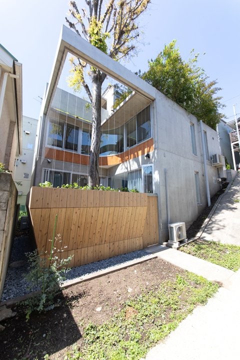 大きなケヤキが住まいと一体になった外観