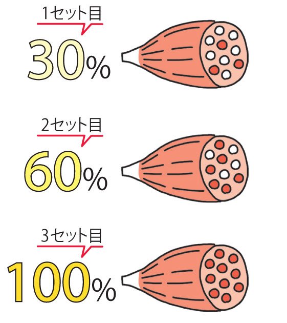 イラスト30％60％100％
