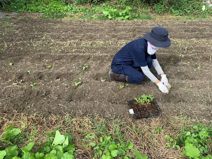 畑に帽子をかぶった女性