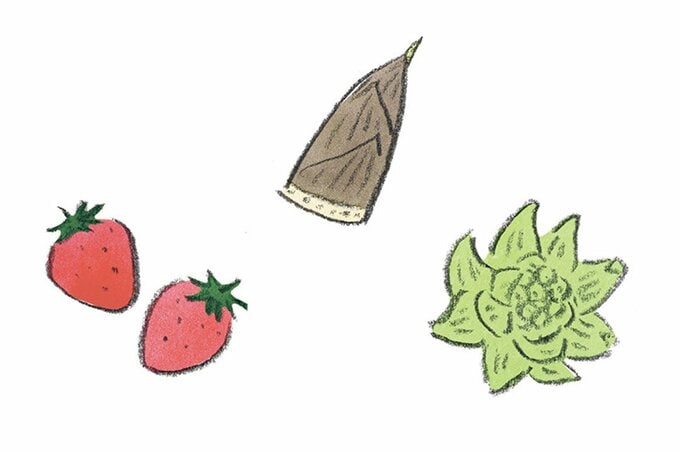 イチゴ、タケノコ、フキノトウのイラスト