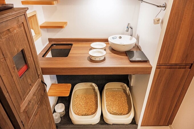 ネコ砂のすぐ上の壁には換気扇