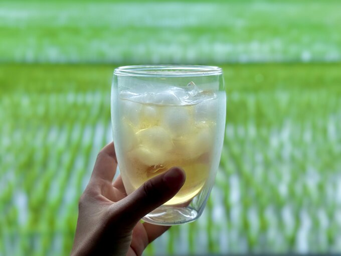 トウモロコシのヒゲ茶