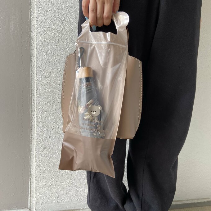 持ってみました