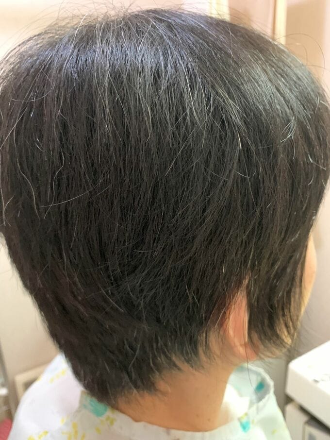 後ろから見たところ