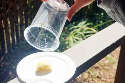 自作コバエ取りが簡単なのに優秀！材料は使い捨てコップと皿だけ