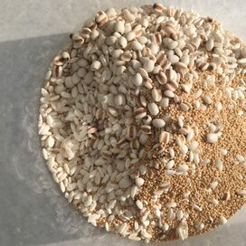 美容と健康に、雑穀甘酒で元気をチャージ！ヨーグルトに加えるとおいしいよ