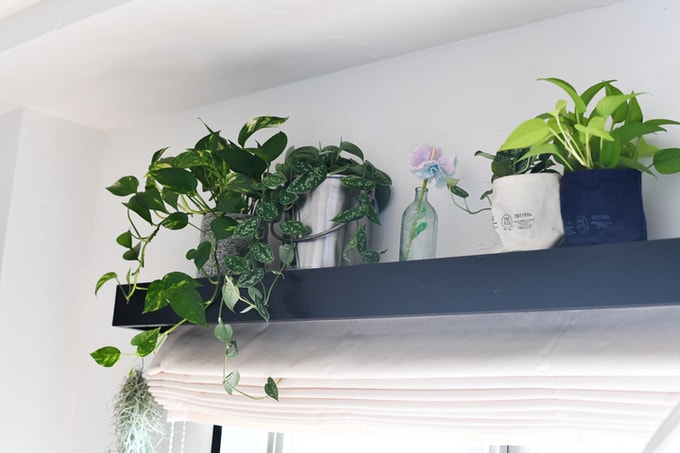 カーテンボックス