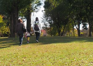 写真はイメージです