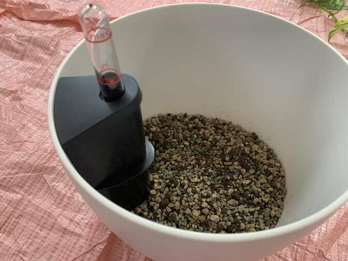 プランターに土