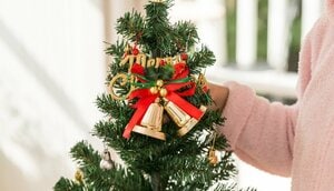 クリスマスツリーは買わずにレンタル！
