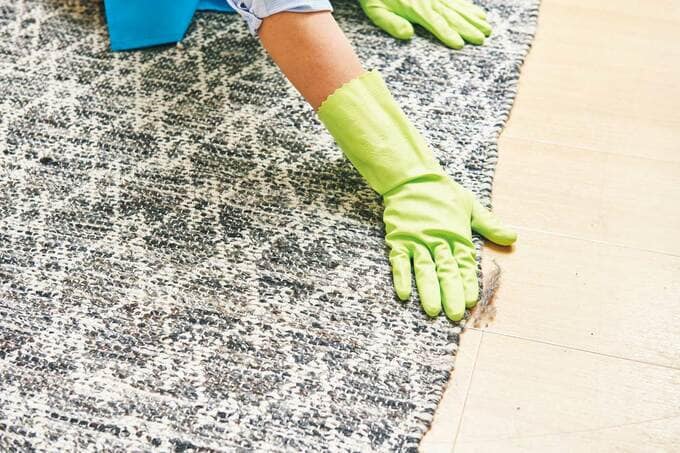 カーペットの掃除