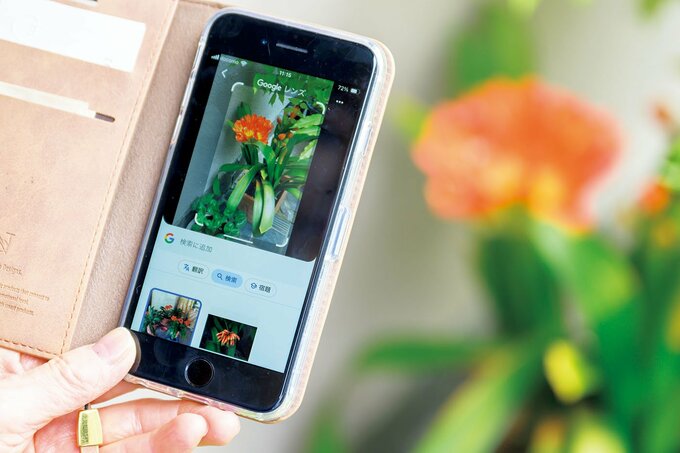 スマホで花を撮影