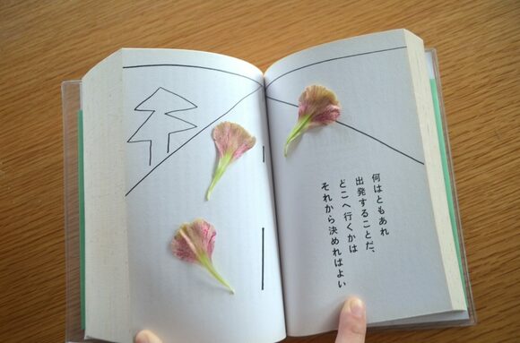 押し花にする