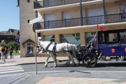 日本とフランスでこんなに違う「幸運を呼ぶアイテム」。高まる干支人気、神様の使いと考えられている虫も