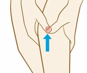 足の三里（あしのさんり）：押し方