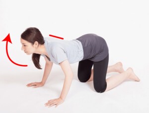 カメが頭を伸ばすようなイメージで首を上げながら三角点に力を集める