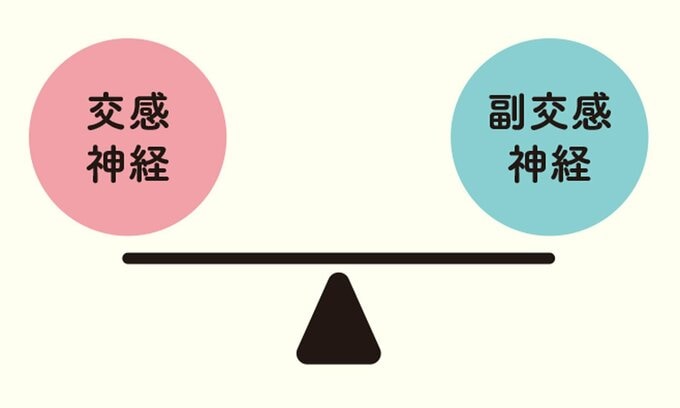 交感神経と副交感神経の天秤図
