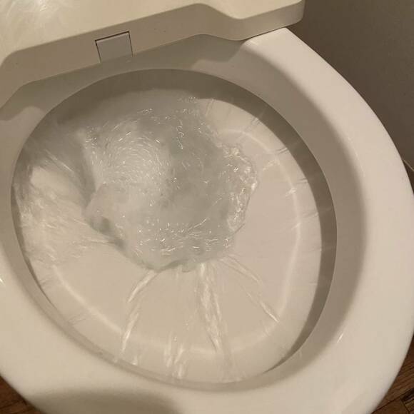 トイレ流す様子