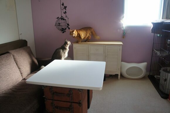 自分にたりないものを知る