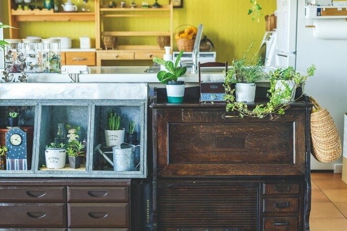 味わいのある古い収納家具とその上に飾られた観葉植物