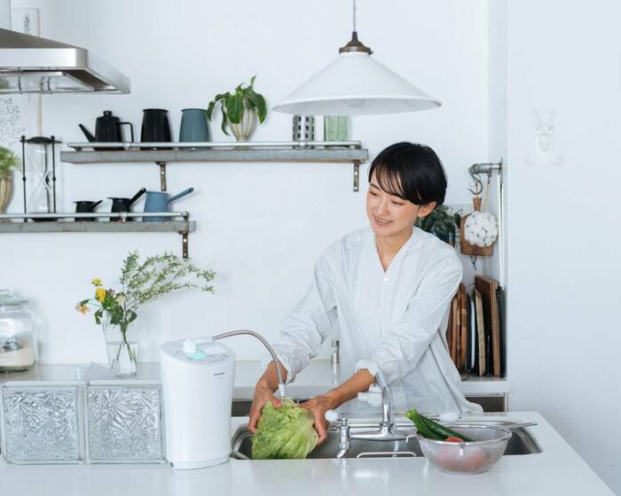 パナソニック パールホワイト 浄水器TK-AS46-W